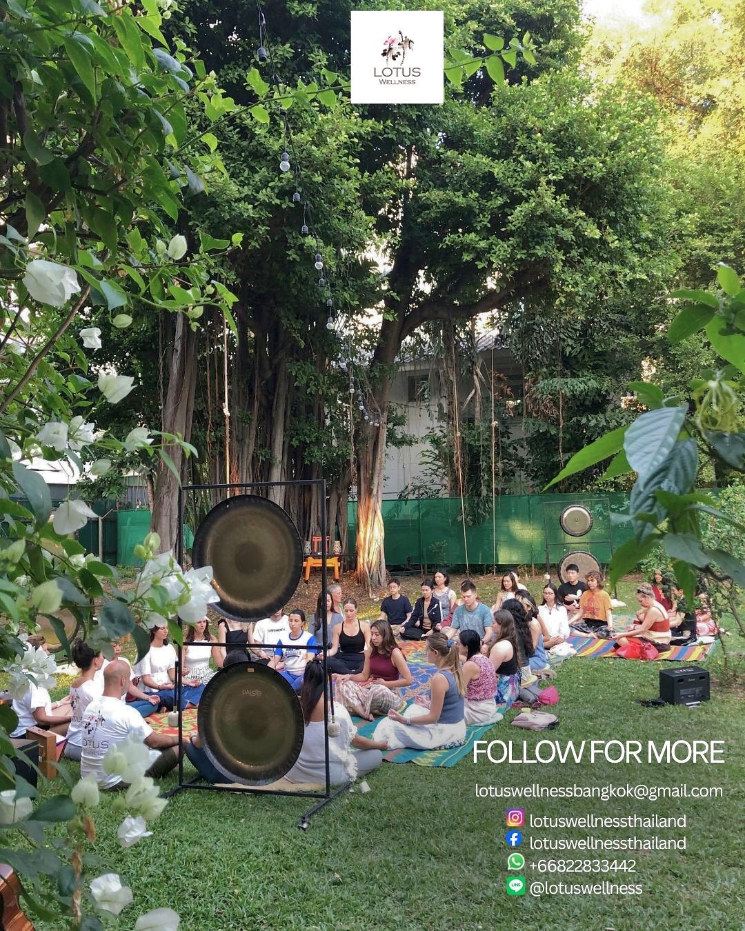 Lotus Wellness - Photo 4